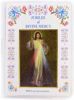 Picture of Novena of the Divine Mercy - Holder with book and rosary