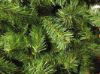 Picture of Royal artificial Christmas Tree H. cm 150 (60 inch) green plastic PVC