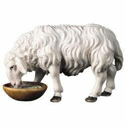 Picture of Sheep drinking cm 12 (4,7 inch) Hand Painted Shepherd Nativity Scene classic Val Gardena wooden Statue peasant style