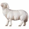 Picture of Sheep looking forward Comet Nativity 12 cm (4,7 inch) oil painted wood