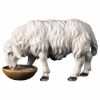 Picture of Sheep drinking Ulrich Nativity 15 cm (5,9 inch) oil painted wood