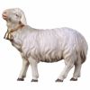 Picture of Sheep looking forward with Bell Ulrich Nativity 8 cm (3,1 inch) oil painted wood