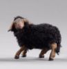 Picture of Black Lamb with wool cm 12 (4,7 inch) Hannah Alpin dressed Nativity Scene in Val Gardena wood