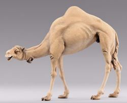 Imagen de Camello de pie cm 40 (15,7 inch) Pesebre vestido Hannah Orient en madera Val Gardena