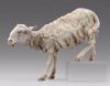 Picture of Sheep cm (for step) Hannah Orient Nativity 20 cm (7,9 inch) wood & fabric