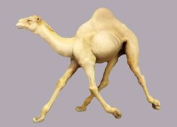Imagen de Camello que corre cm 12 (4,7 inch) Belén para vestir Homobono de madera y cobre 