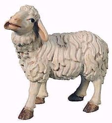 Picture of Standing Sheep cm 15 (5,9 inch) Raffaello Nativity Scene traditional style oil colours Val Gardena wood
