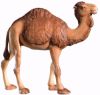 Picture of Camel cm 10 (3,9 inch) Leonardo Nativity Scene traditional Arabic style oil colours Val Gardena wood