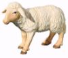 Picture of Standing Sheep Leonardo Nativity 12 cm (4,7 inch) oil colored wood