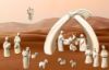 Picture of Ox cm 8 (3,1 inch) Stella Nativity Scene modern style natural colour Val Gardena wood