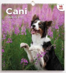 Immagine per la categoria Calendario Cani 2025
