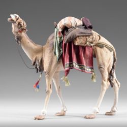 Picture of Standing Camel with saddle cm 12 (4,7 inch) Immanuel dressed Nativity Scene oriental style Val Gardena wood statue