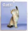 Immagine di Chats Calendrier mural 2025 cm 31x33