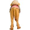 Picture of Camel Matteo Nativity 28 cm (11,0 inch) oil painted wood