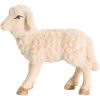 Picture of Lamb Matteo Nativity 18 cm (7,1 inch) oil painted wood