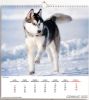 Immagine di Dogs 2025 wall Calendar cm 31x33 (12,2x13 in)