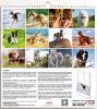 Immagine di Dogs 2025 wall Calendar cm 31x33 (12,2x13 in)