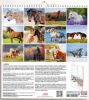 Picture of Horses 2025 wall Calendar cm 31x33 (12,2x13 in)