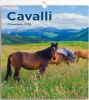 Picture of Horses 2025 wall Calendar cm 31x33 (12,2x13 in)