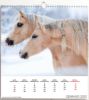 Imagen de Caballos Calendario de pared 2025 cm 31x33 (12,2x13 in)