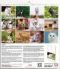 Immagine di Cats 2025 wall Calendar cm 31x33 (12,2x13 in)