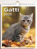 Immagine di Cats 2025 wall and desk calendar cm 16,5x21 (6,5x8,3 in)