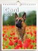 Immagine di Dogs 2025 wall and desk calendar cm 16,5x21 (6,5x8,3 in)