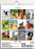 Immagine di Dogs 2025 wall and desk calendar cm 16,5x21 (6,5x8,3 in)