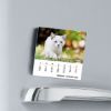 Immagine di Cats  2025 magnetic calendar cm 8x8 (3,1x3,1 in)