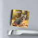 Picture of Cats  2025 magnetic calendar cm 8x8 (3,1x3,1 in)